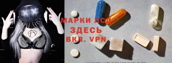хмурый Вяземский
