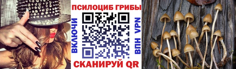 Галлюциногенные грибы GOLDEN TEACHER  Купить закладки  Качканар 